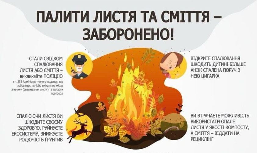 Користь від спалювання сухої рослинності – міф!